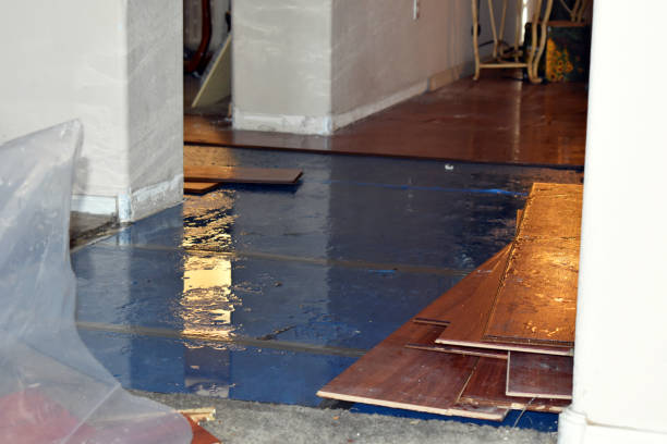 Professional Basement Flood Cleanup technician working in Jonesboro, IN